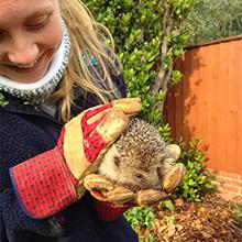 Thumbnail photo of Sophie Watts